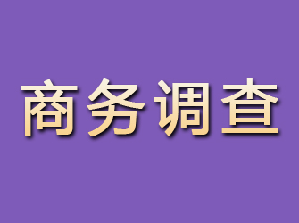 平舆商务调查